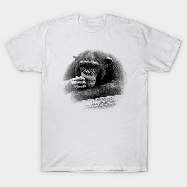 Chimpanzee T-Shirt by Guardi